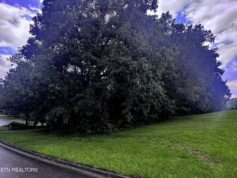 0 Boxwood Ln Lot 14, Sevierville, TN 37862
