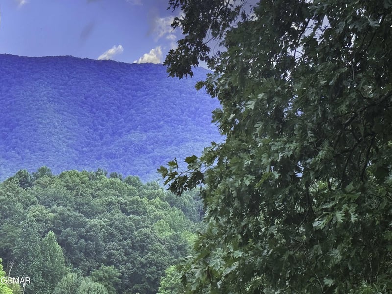 14 Boxwood Ln Lot 14, Sevierville, TN 37862