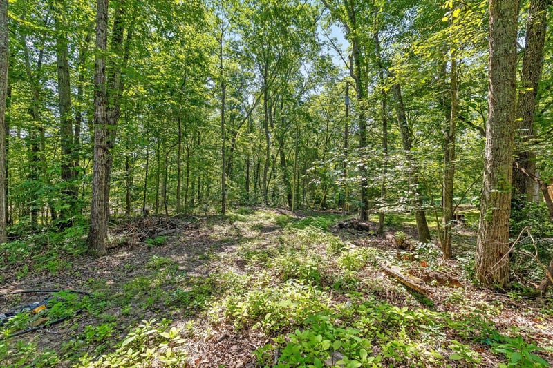 0 Maple Leaf Trl Lot 5, Lookout Mountain, GA 30750
