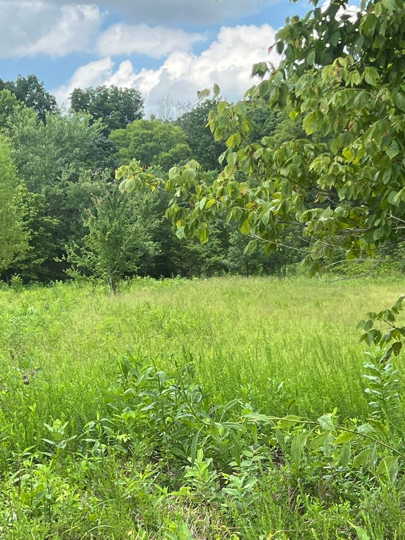 0 Martin Rd Lot 3, Portland, TN 37148