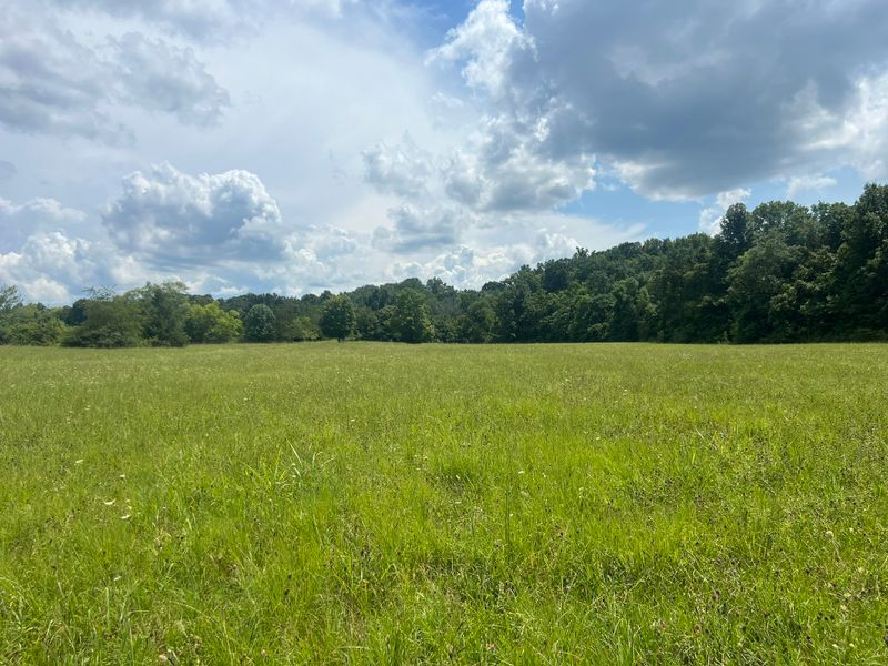 0 Martin Rd Lot 5, Portland, TN 37148