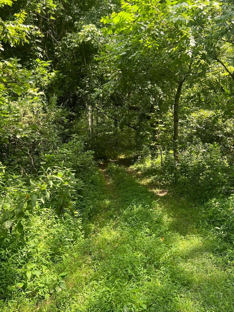 0 N Corinth Rd Lot 9, Portland, TN 37148