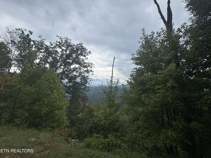 0 Enclave Park Way Lot 49, Sevierville, TN 37862