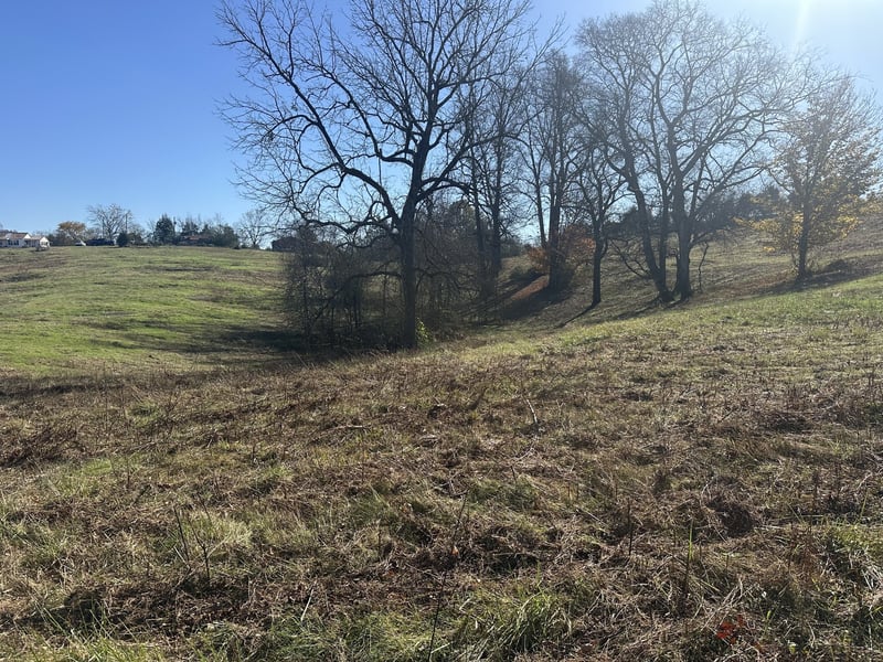 0 Mcclures Bend Ln, Carthage, TN 37030