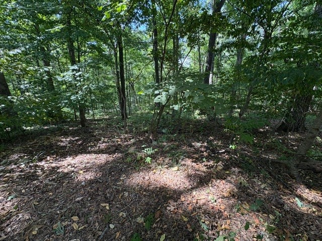 0 Scenic Dr Lot 43, Dickson, TN 37055