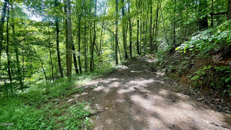 1304 Balsam Cir Lot 1304, Sevierville, TN 37876