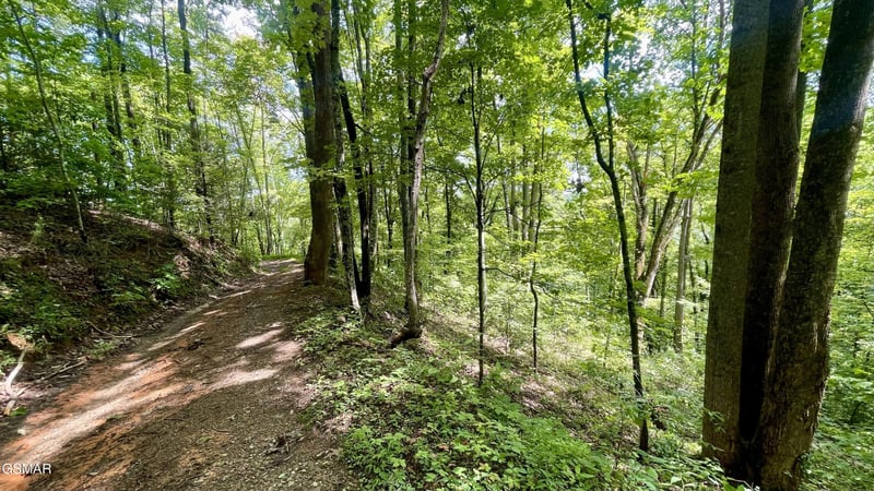 1304 Balsam Cir Lot 1304, Sevierville, TN 37876