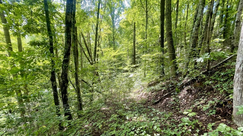 1304 Balsam Cir Lot 1304, Sevierville, TN 37876