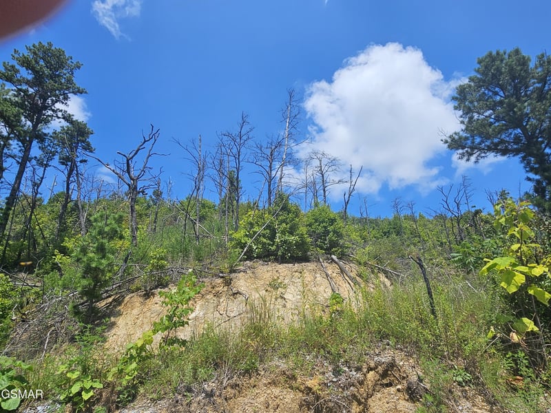 2330 Surries High Top Way Lot 2, Sevierville, TN 37862