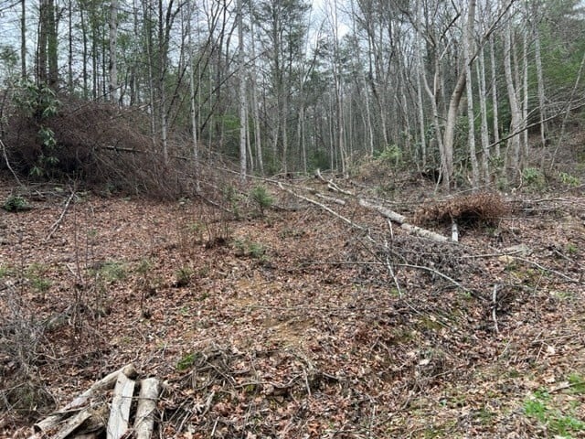 3 Coy Rhea Way Lot 3D, Sevierville, TN 37876