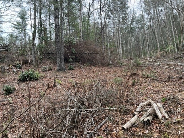3 Coy Rhea Way Lot 3D, Sevierville, TN 37876