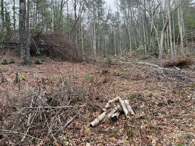 3 Coy Rhea Way Lot 3D, Sevierville, TN 37876