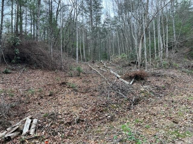 3 Coy Rhea Way Lot 3D, Sevierville, TN 37876