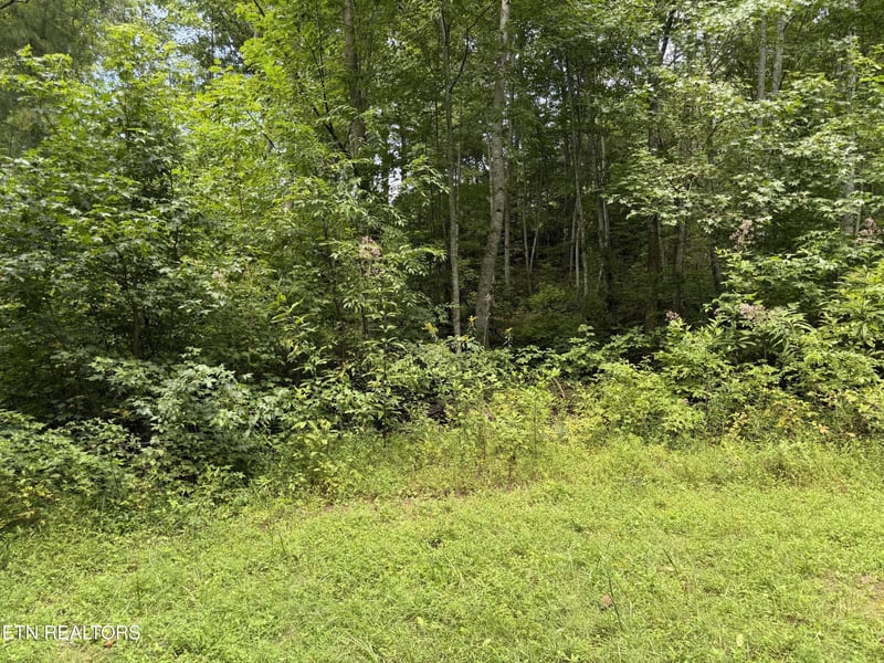 0 Coy Rhea Way Lot 3D, Sevierville, TN 37876
