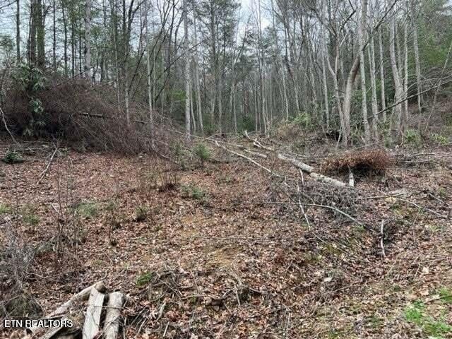 0 Coy Rhea Way Lot 3D, Sevierville, TN 37876