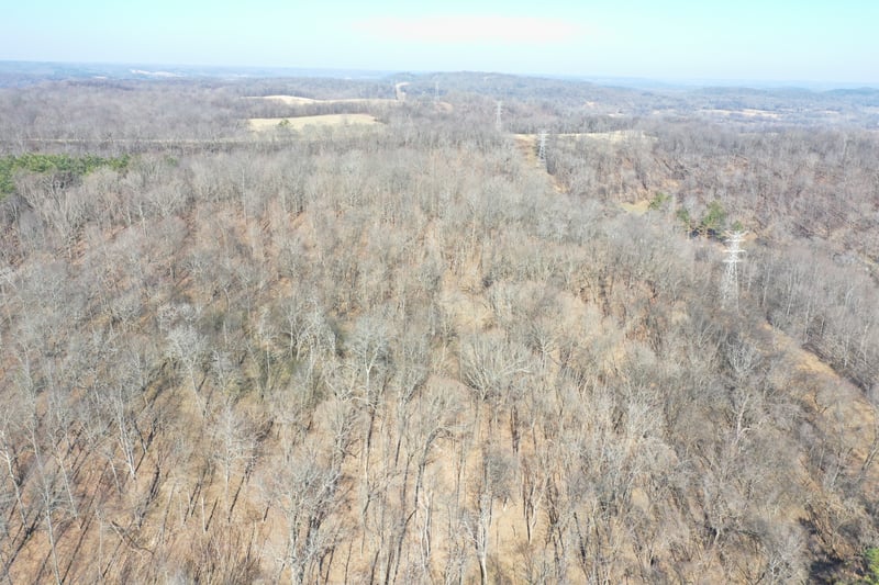 0 Dog Branch Rd, Mount Pleasant, TN 38474