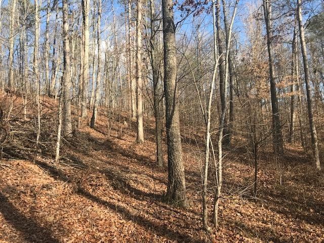 0 Martin Mill Pike Lot 2, Knoxville, TN 37920