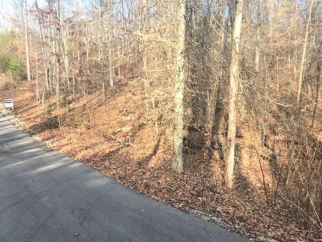 0 Martin Mill Pike Lot 2, Knoxville, TN 37920