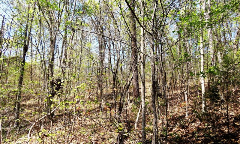 0 Big Buck Ln Lot 17, Sevierville, TN 37876