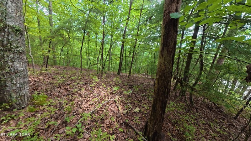 0 Shady Oaks Way Lot 41, Sevierville, TN 37876