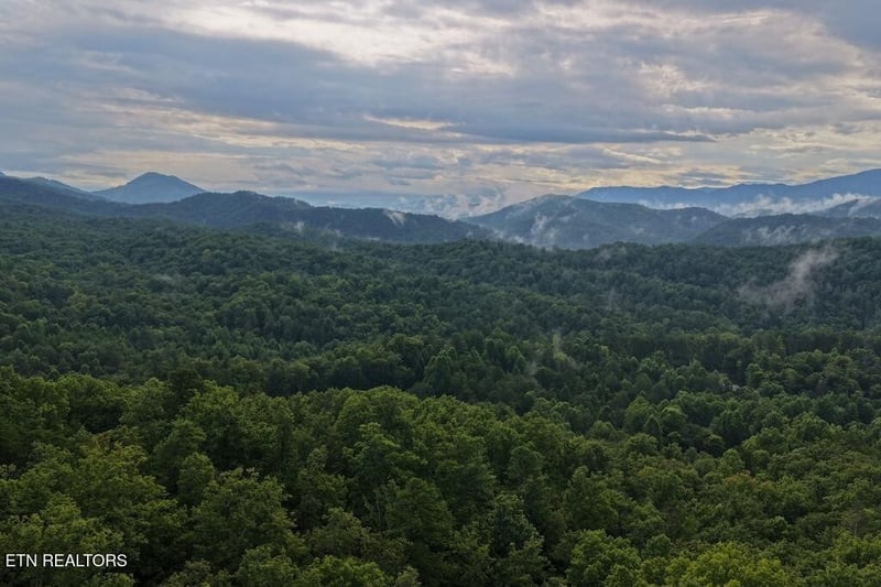 0 Shady Oaks Way Lot 41, Sevierville, TN 37876