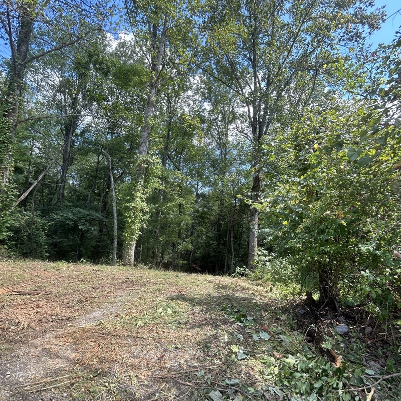 0 Boston Theta Rd, Columbia, TN 38401