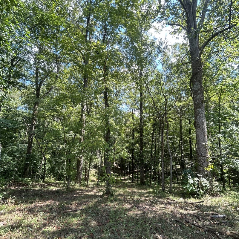 0 Boston Theta Rd, Columbia, TN 38401