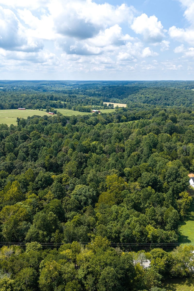 0 Highway 48 N, Cumberland Furnace, TN 37051