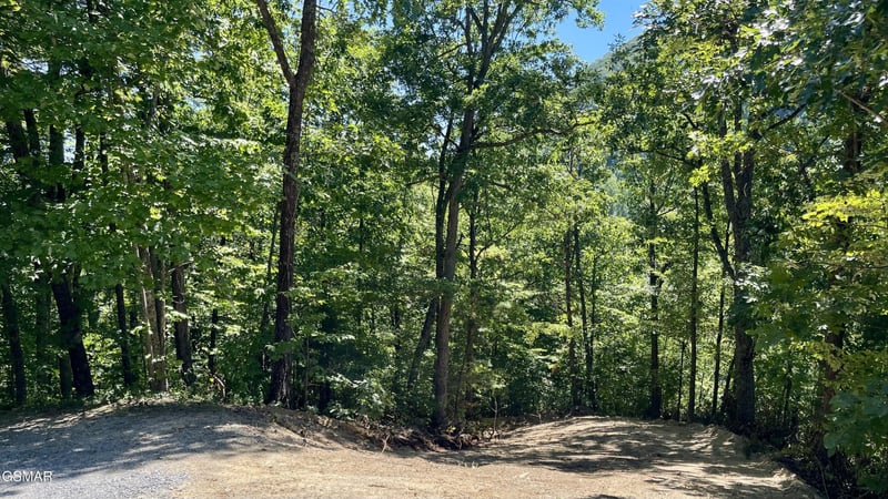 2324 Red Maple Ln Lot 23&24, Sevierville, TN 37876