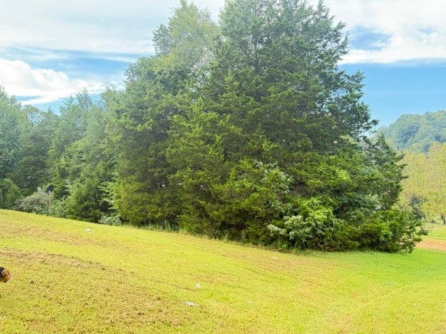 1295 Carney Winters Rd, Ashland City, TN 37015