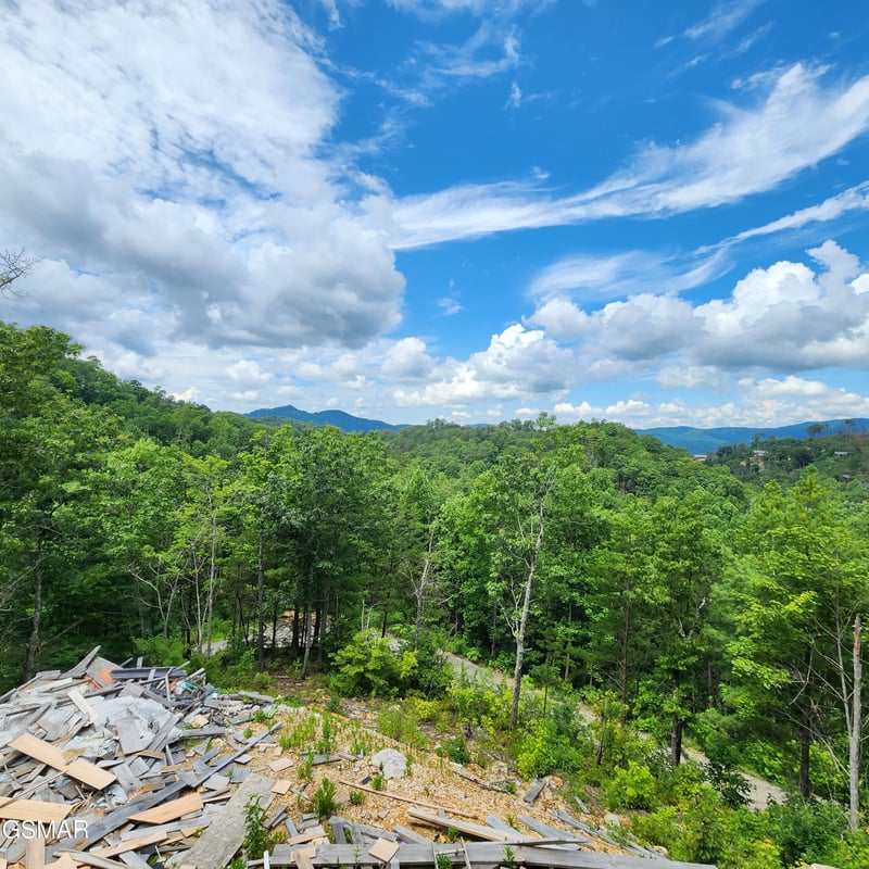 2065 Spurling Rd, Sevierville, TN 37876