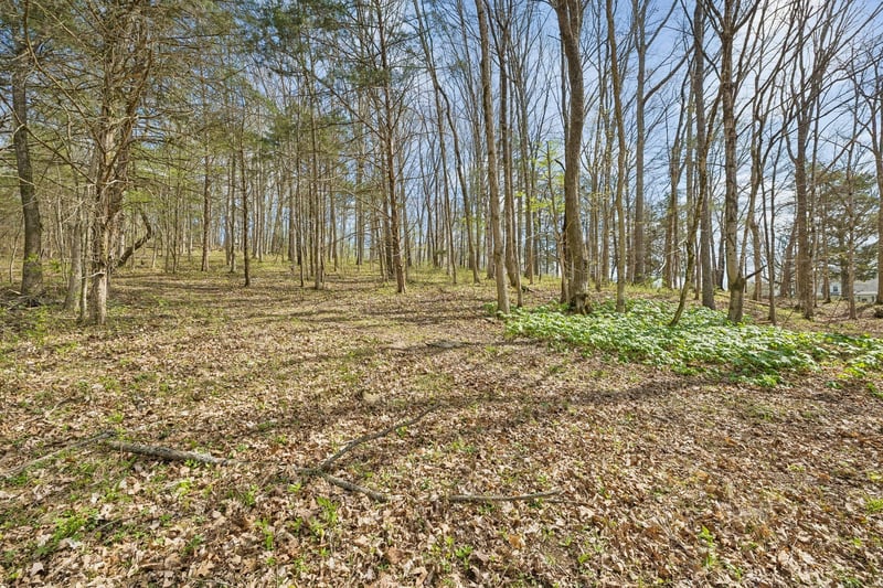 0 Turney Rd Lot 5, Auburntown, TN 37016