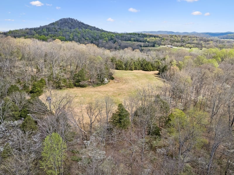 0 Turney Rd Lot 5, Auburntown, TN 37016