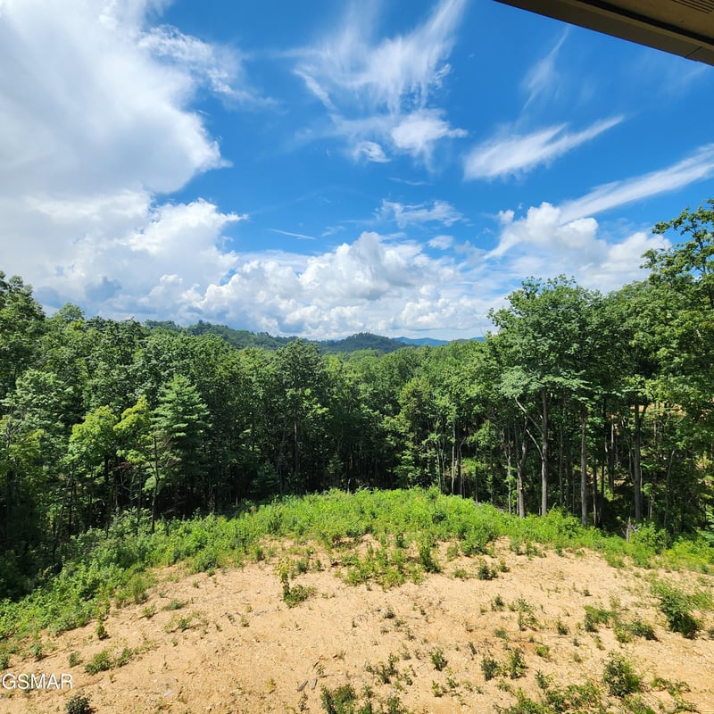 1970 Spurling Rd, Sevierville, TN 37876