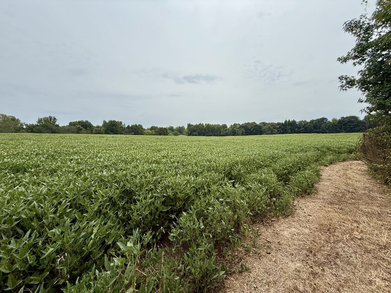 0 Compton Rd, Athens, AL 35613