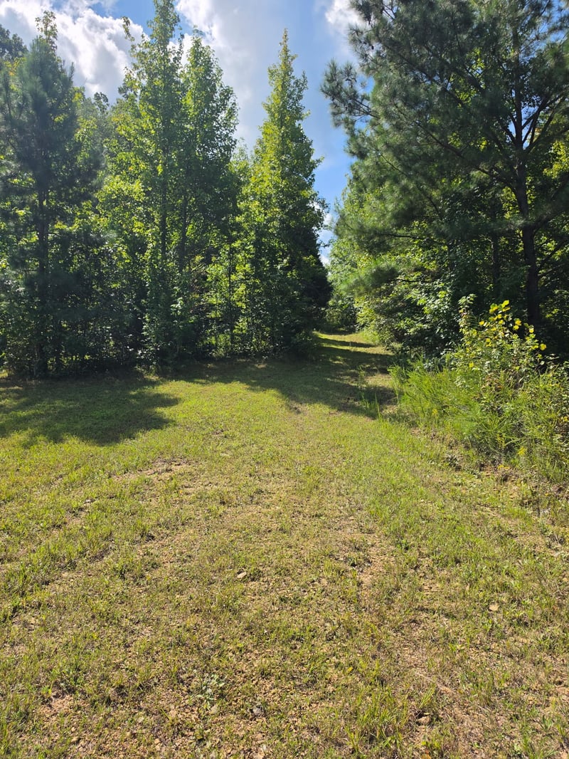0 New Hope Rd, Joelton, TN 37080