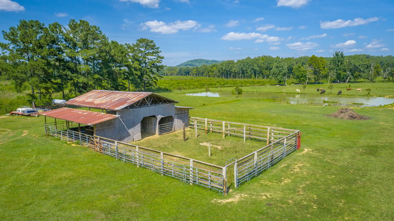 5605 Main St, Gaylesville, AL 35973