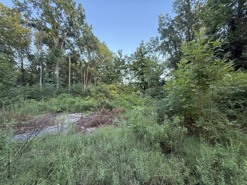1418 Caldwell St, Rossville, GA 30741