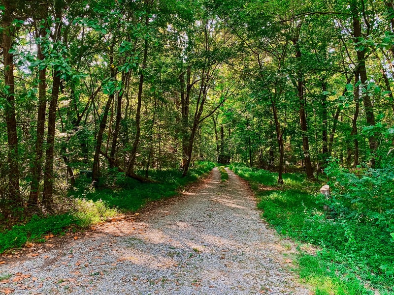 1006 Clearview Pt, Cottontown, TN 37048