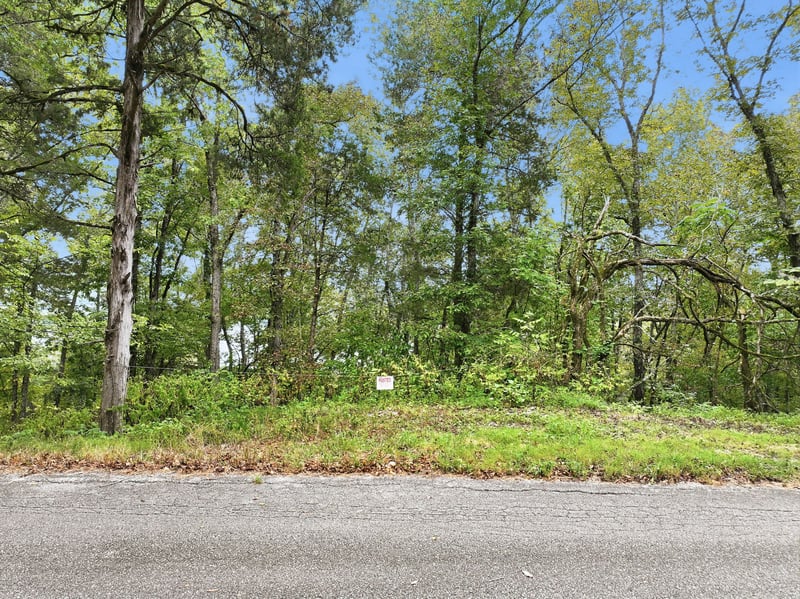 0 Horseshoe Bend Ln Lot 24, Elmwood, TN 38560