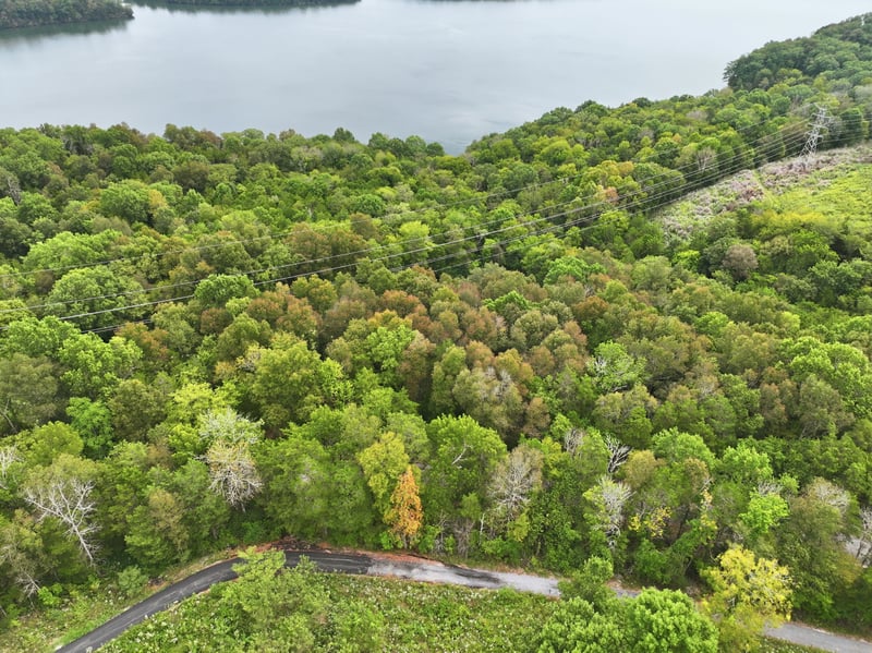 0 Horseshoe Bend Ln Lot 24, Elmwood, TN 38560