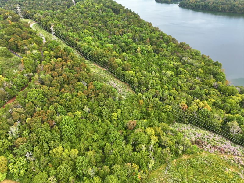 0 Horseshoe Bend Ln Lot 24, Elmwood, TN 38560