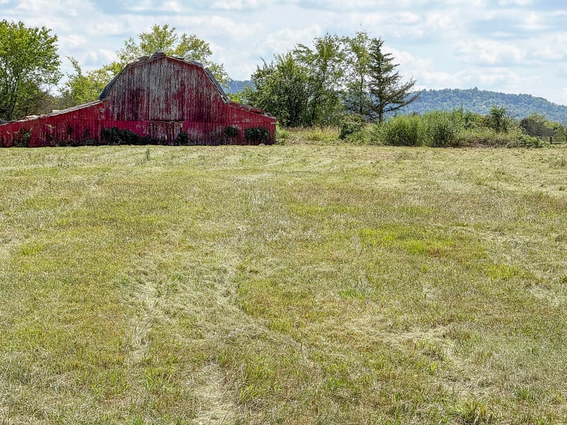 6789 Ridley Earp Rd, Christiana, TN 37037