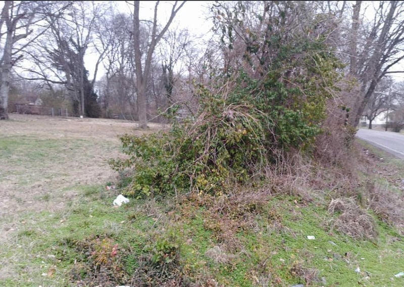 863 Argle Ave, Madison, TN 37115