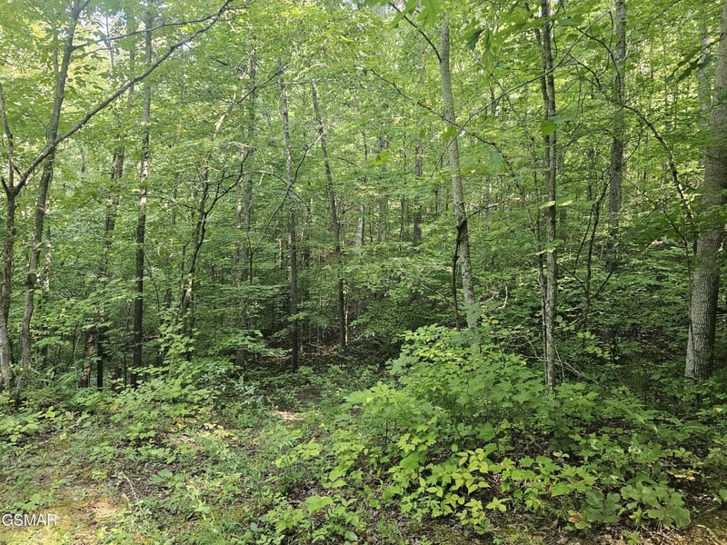 2 Franklin Ln Lot 2, Sevierville, TN 37876