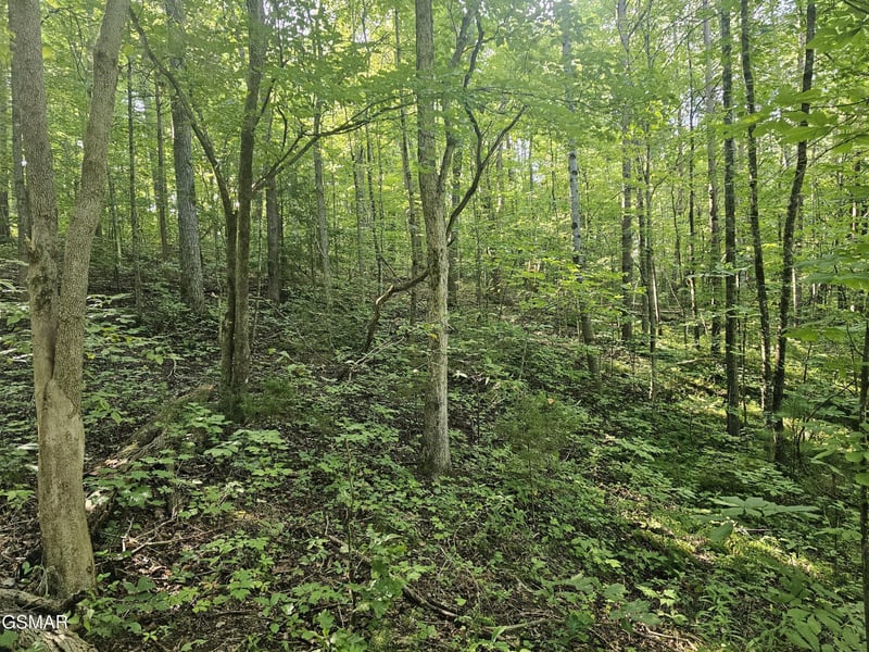 2 Franklin Ln Lot 2, Sevierville, TN 37876