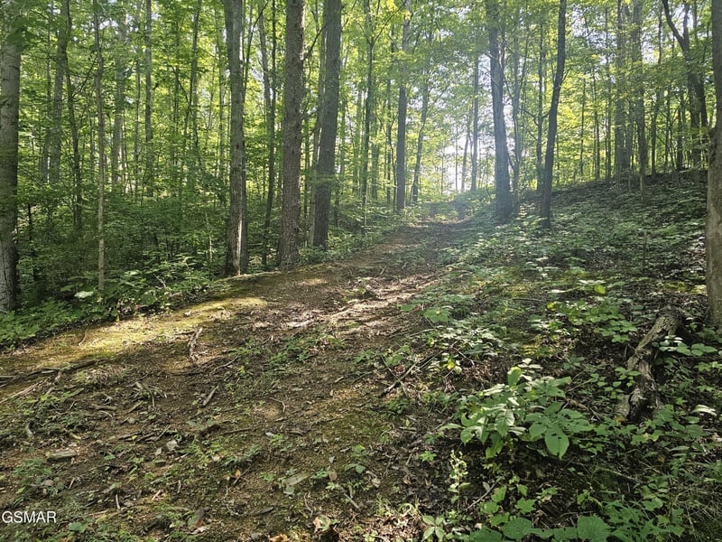 2 Franklin Ln Lot 2, Sevierville, TN 37876