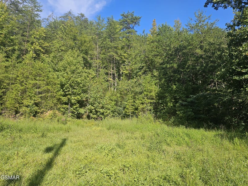 3 Franklin Way Lot 3, Sevierville, TN 37862