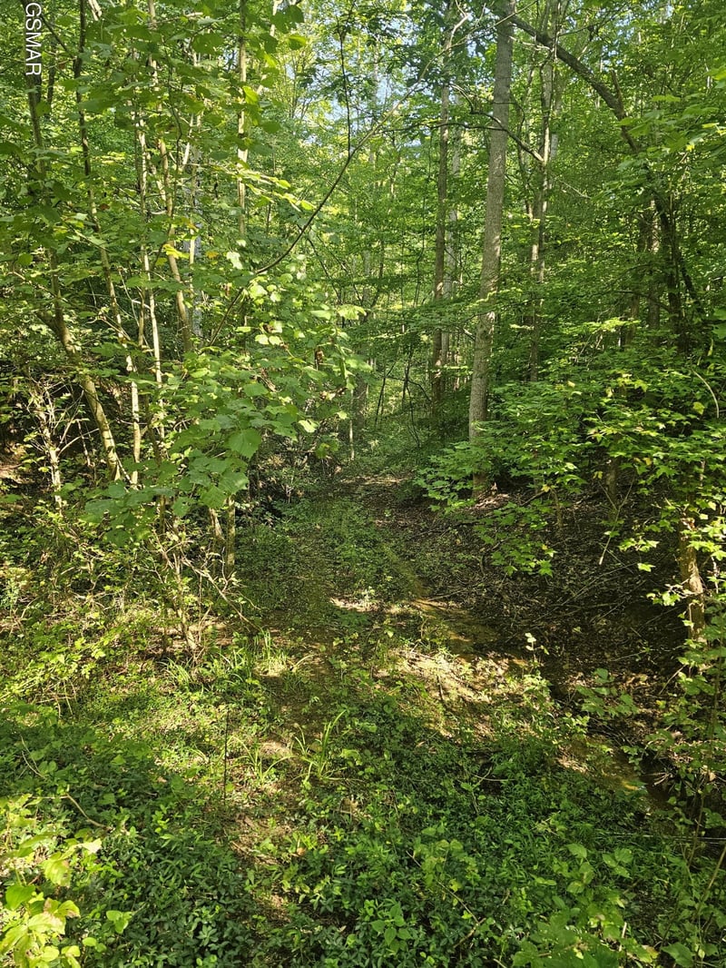 3 Franklin Way Lot 3, Sevierville, TN 37862