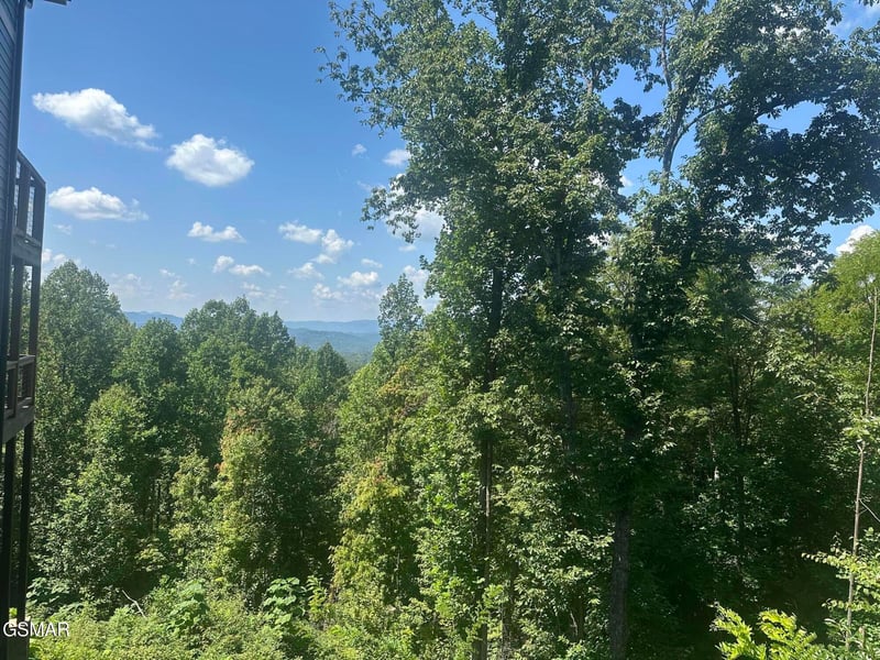 1921 Battle Top Rd Lot 665, Sevierville, TN 37876